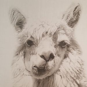 🤑HUGE DISCOUNTS ON BUNDLES! 🤑